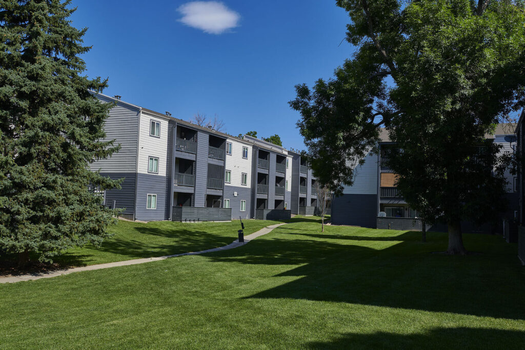 Path between building with tall trees