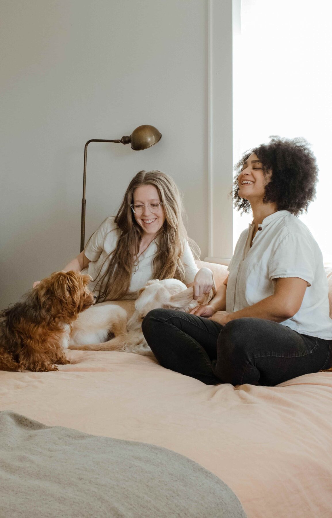Two women sit on a bed smiling and petting two dogs. Warm sunlight streams in from a window behind them, creating a cozy and relaxed atmosphere.